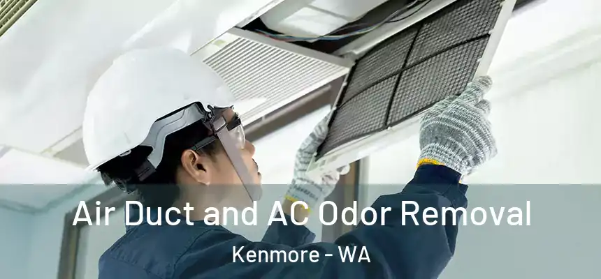 Air Duct and AC Odor Removal Kenmore - WA