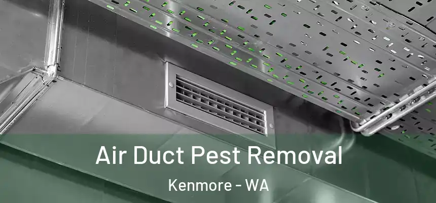 Air Duct Pest Removal Kenmore - WA