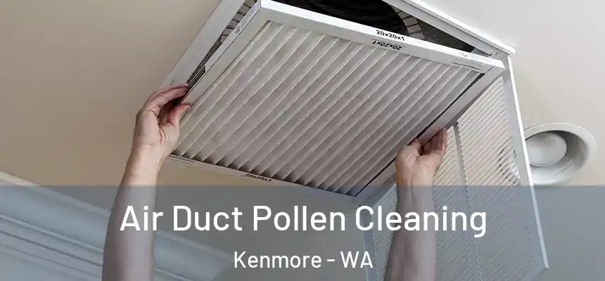 Air Duct Pollen Cleaning Kenmore - WA