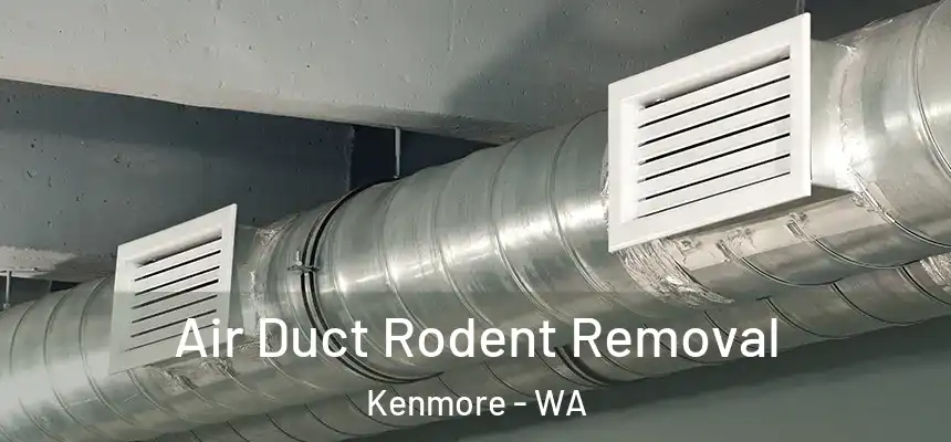 Air Duct Rodent Removal Kenmore - WA