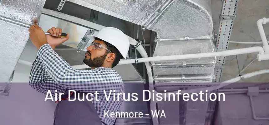Air Duct Virus Disinfection Kenmore - WA