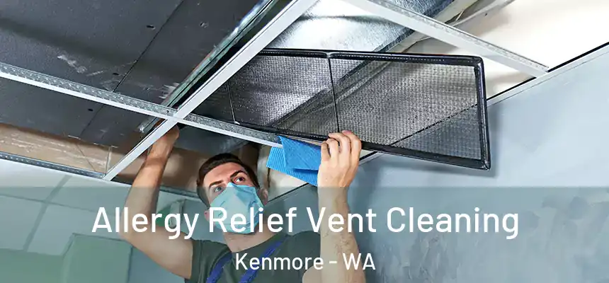Allergy Relief Vent Cleaning Kenmore - WA