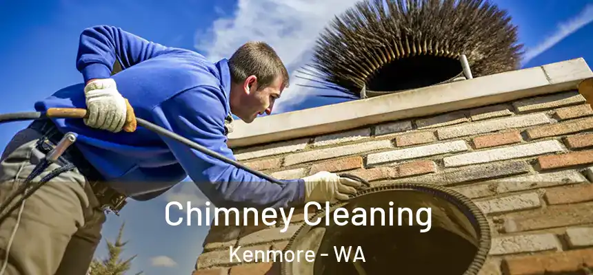 Chimney Cleaning Kenmore - WA