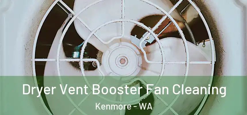 Dryer Vent Booster Fan Cleaning Kenmore - WA