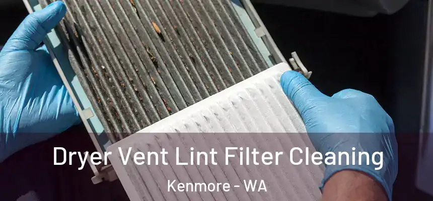 Dryer Vent Lint Filter Cleaning Kenmore - WA