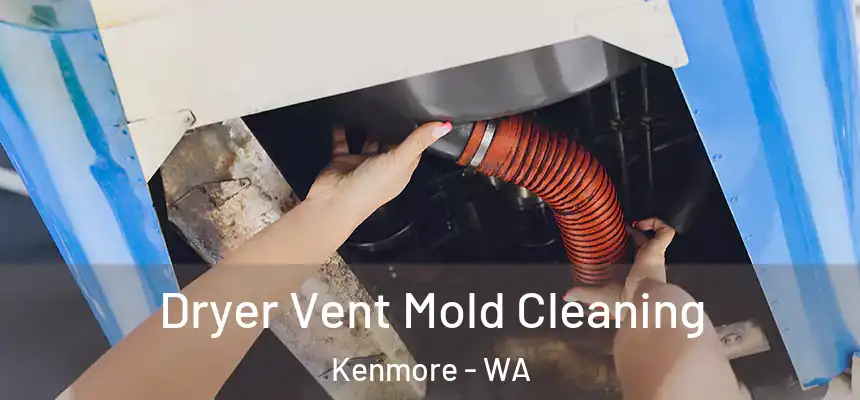 Dryer Vent Mold Cleaning Kenmore - WA