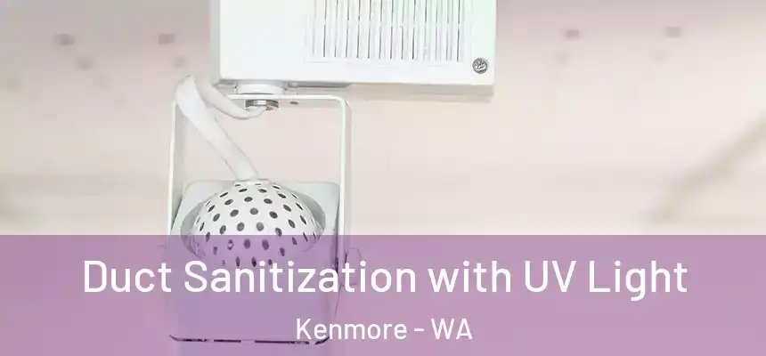 Duct Sanitization with UV Light Kenmore - WA