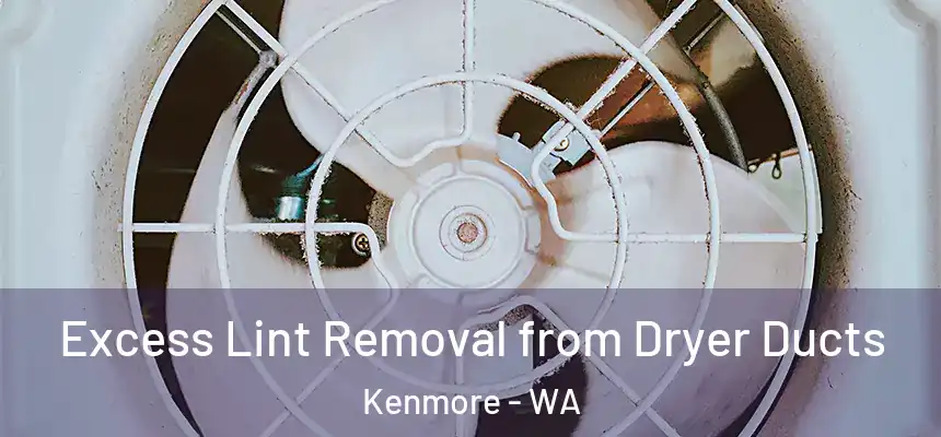 Excess Lint Removal from Dryer Ducts Kenmore - WA