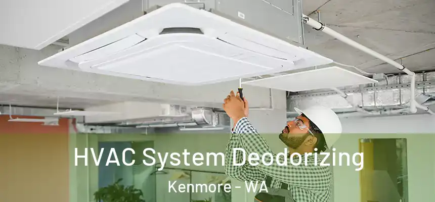 HVAC System Deodorizing Kenmore - WA