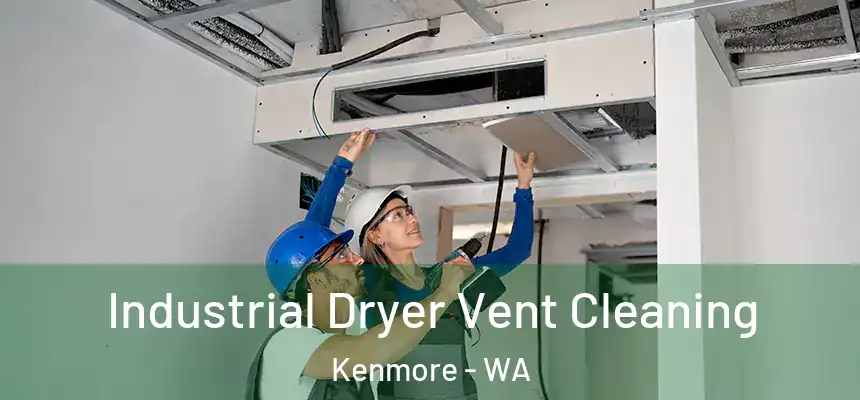 Industrial Dryer Vent Cleaning Kenmore - WA