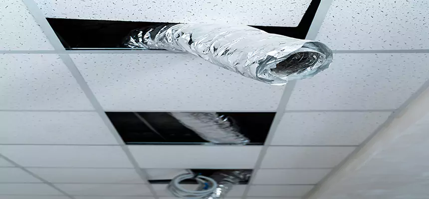 Our Air Duct Pet Hair Removal Services in Kenmore, WA