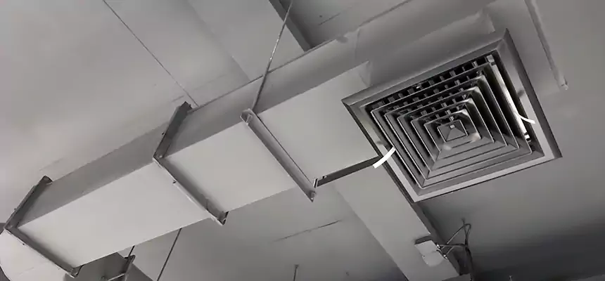 Our Pest Removal From Ducts Services in Kenmore, WA