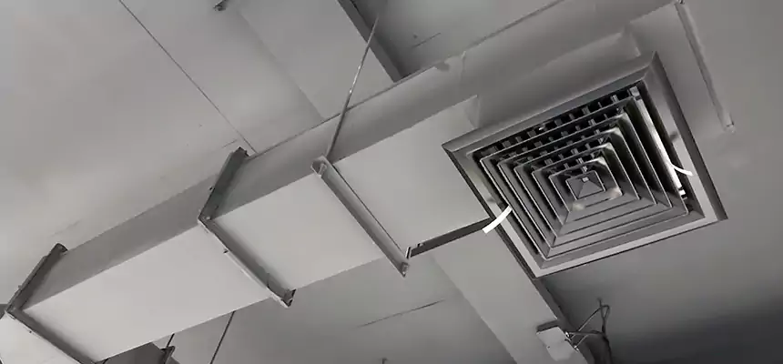 Our Rodent Droppings In Vents Services in Kenmore, WA