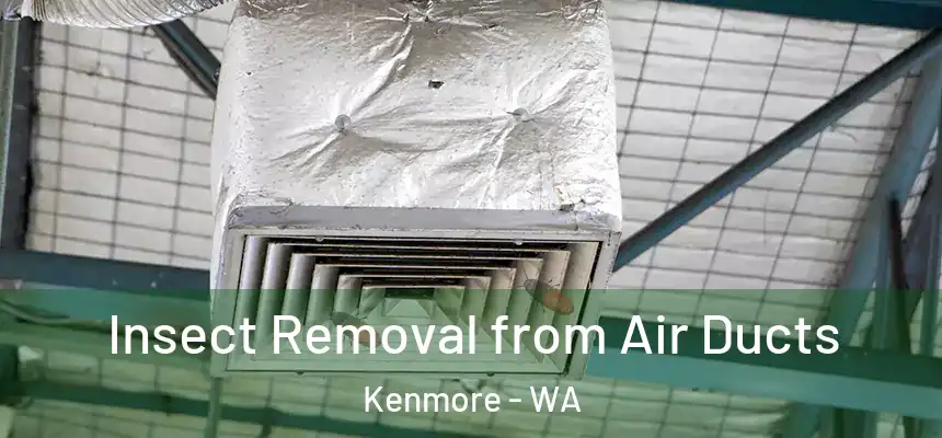 Insect Removal from Air Ducts Kenmore - WA