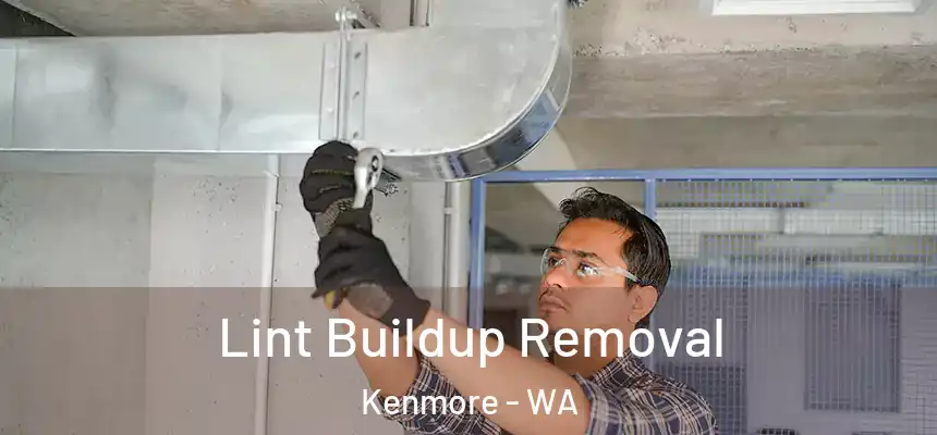  Lint Buildup Removal Kenmore - WA