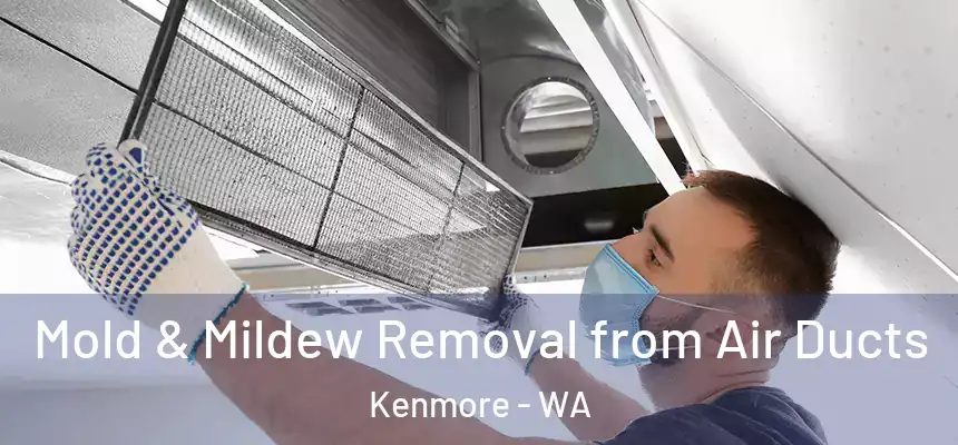Mold & Mildew Removal from Air Ducts Kenmore - WA