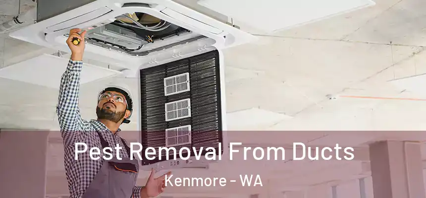 Pest Removal From Ducts Kenmore - WA