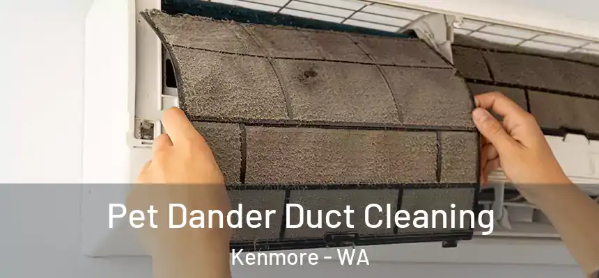 Pet Dander Duct Cleaning Kenmore - WA