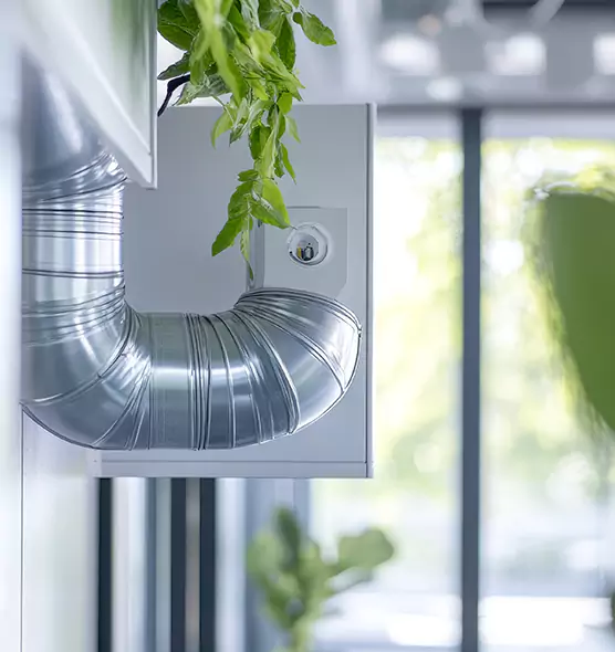 Professional Eco-Friendly Duct Cleaning Services in Kenmore, WA