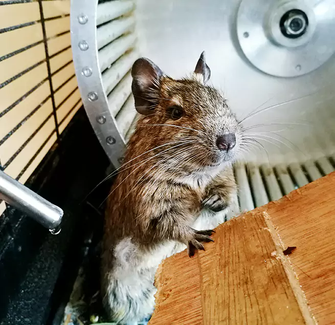 Why Homeowners & Businesses Trust Us Kenmore, WA