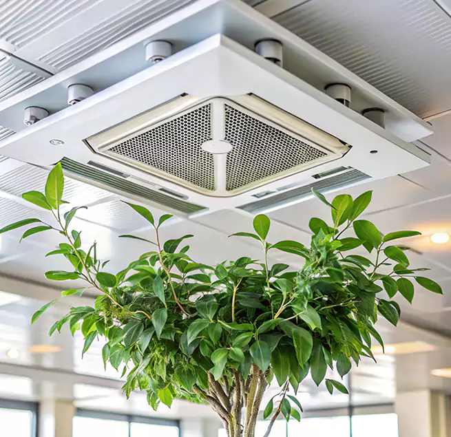 Why Homeowners & Businesses Trust Us in Kenmore, WA?