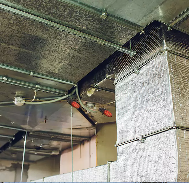 Why Homeowners & Businesses Trust Us Kenmore, WA?