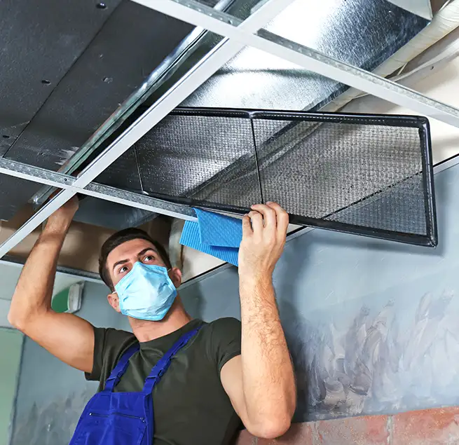 Why Homeowners & Businesses Trust Us in Kenmore, WA?