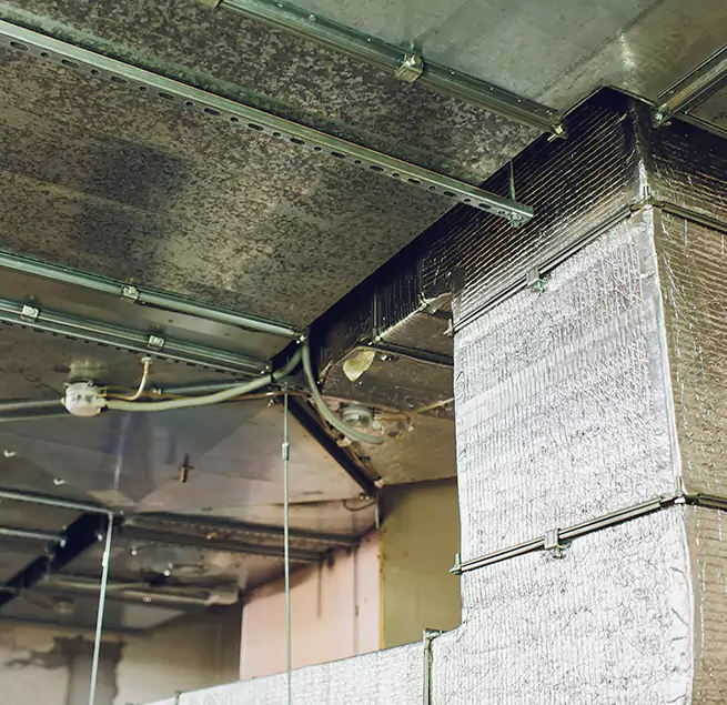 Why Homeowners & Businesses Trust Us in Kenmore, WA?