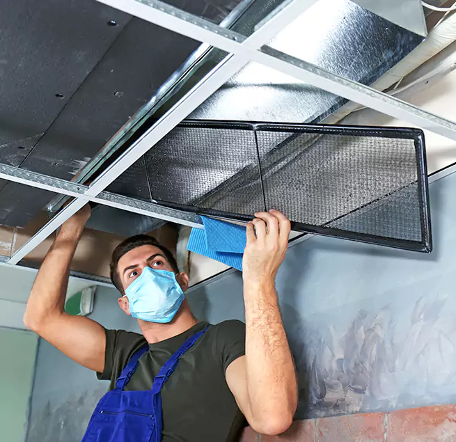 Why Homeowners Businesses Trust Us in Kenmore, WA?