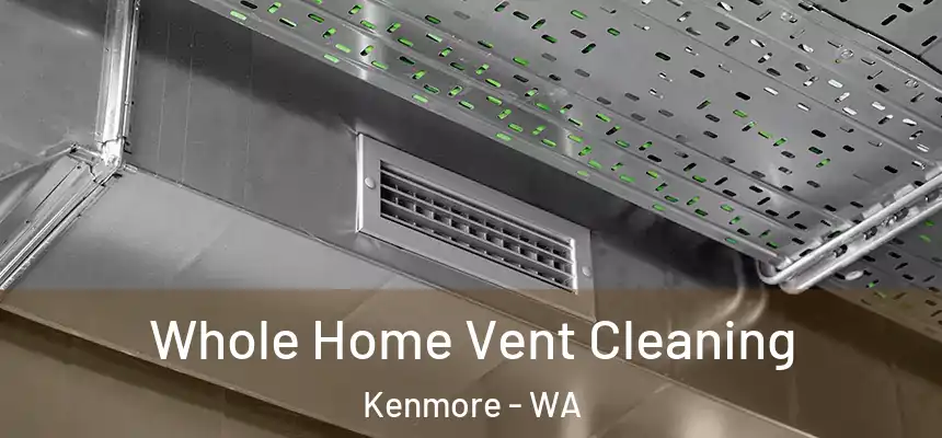 Whole Home Vent Cleaning Kenmore - WA